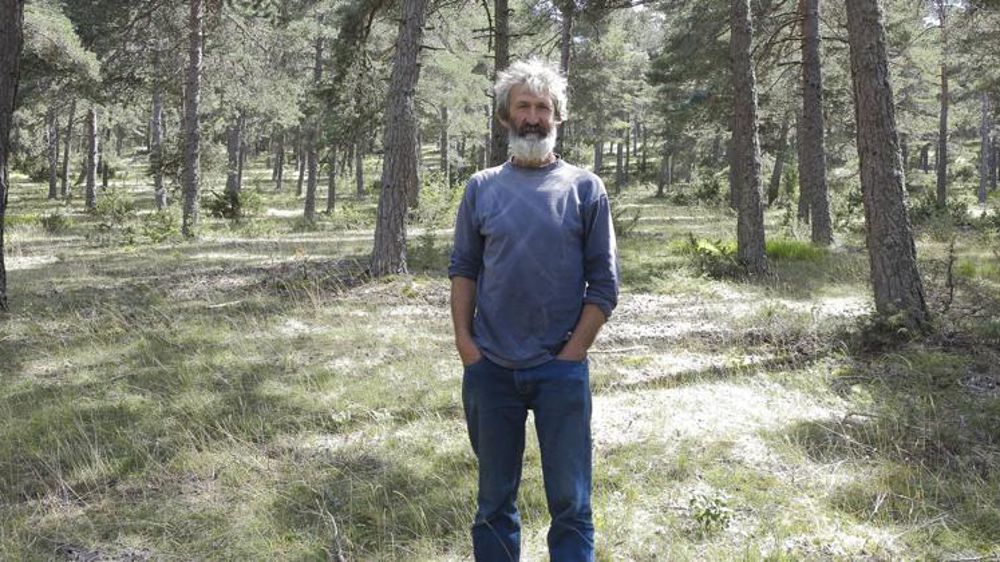« Dans ce parc boisé de 40 ha, nos brebis trouvent de l’herbe durant trois semaines », note Didier Pradeilles. L’été, elles apprécient l’ombre des arbres. © F. Ehrhard